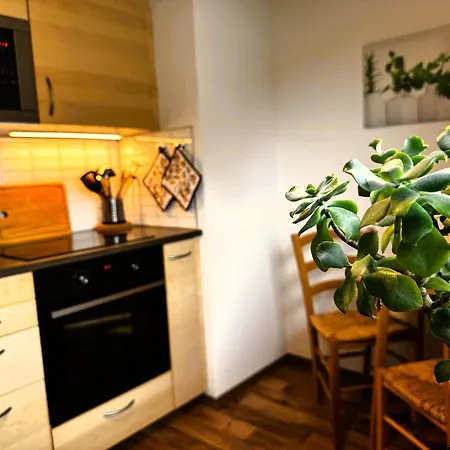 Bergglück - 60m² Direkt Am Skihang In Apartment