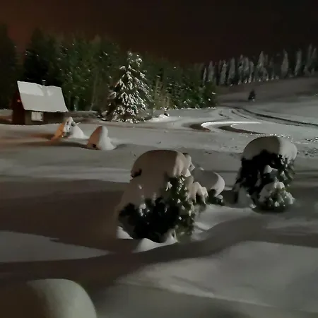Bergglück - 60m² Direkt Am Skihang In *