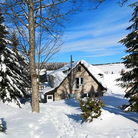 Bergglück - 60m² Direkt Am Skihang In